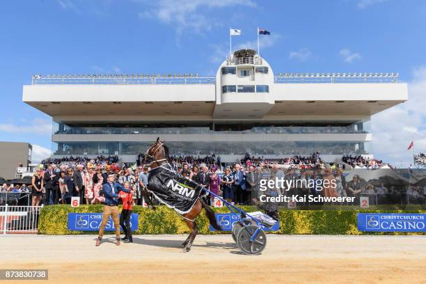 Chase Auckland is seen rearing while driver Natalie Rasmussen celebrates with owners after winning Race 7 NRM Sires Stakes Series No. 34 Final during...