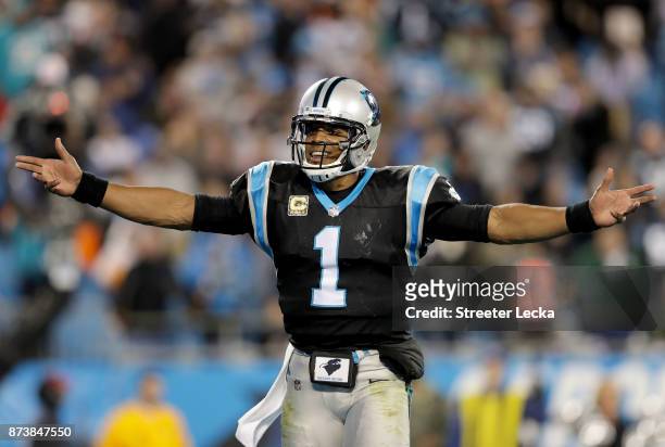 Cam Newton of the Carolina Panthers reacts after a play against the Miami Dolphins during their game at Bank of America Stadium on November 13, 2017...
