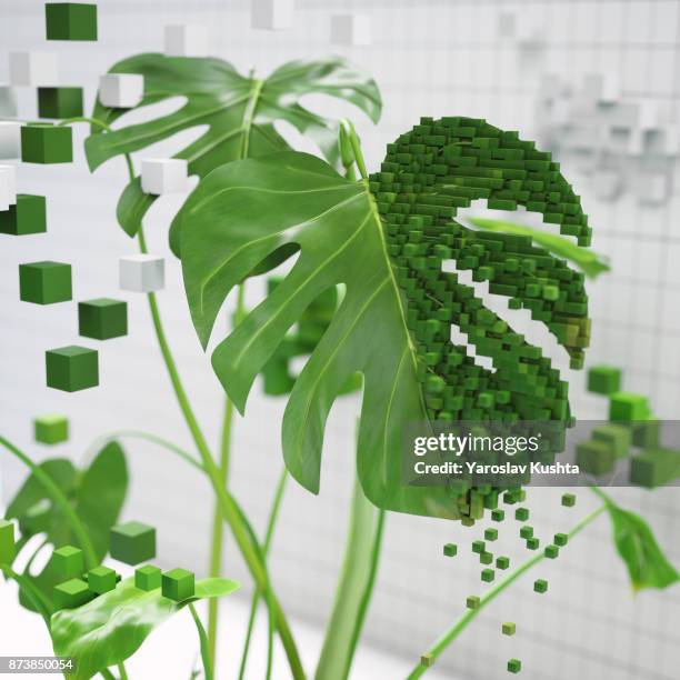 Voxel plants