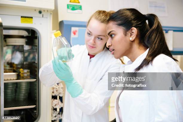 young female scientists working with cell culture flask in laboratory - yeast laboratory stock pictures, royalty-free photos & images