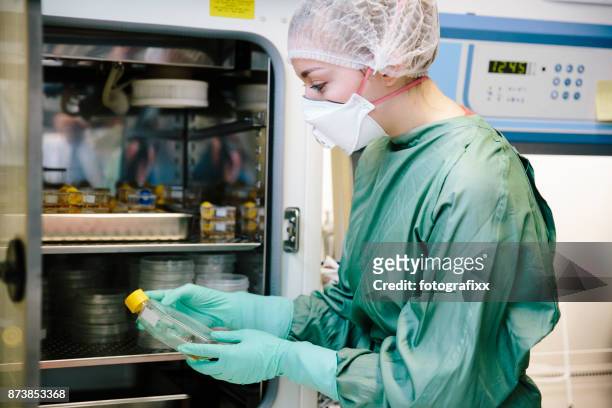 young female scientist working with cell culture flask in laboratory - incubator imagens e fotografias de stock