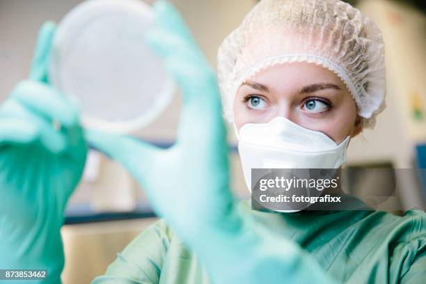 jonge vrouwelijke wetenschapper kijken op celcultuur in petrischaal in laboratorium - yeast laboratory stockfoto's en -beelden