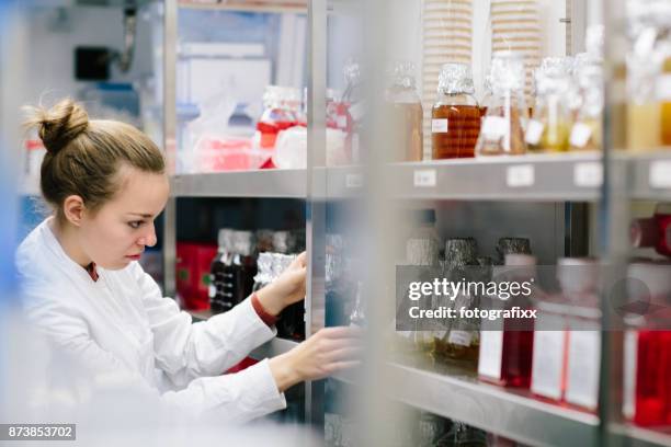 jonge vrouw in een koude berging van laboratorium - yeast laboratory stockfoto's en -beelden