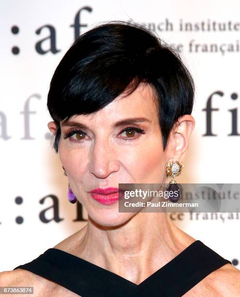 Amy Fine Collins attends the 2017 Trophee Des Arts Awards Gala at The Plaza Hotel on November 13, 2017 in New York City.