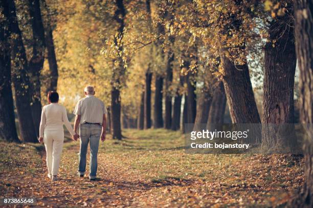 coppia anziana che si gode la passeggiata autunnale - coppia bosco romantico foto e immagini stock