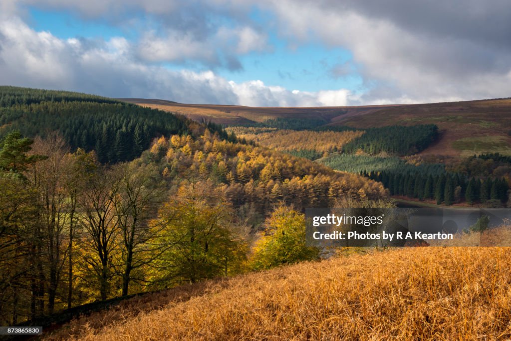 Vivid autumn colour at Derwent reservoir, Peak District national park