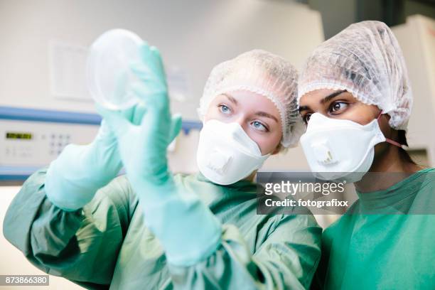 young female scientists watching cell culture in petri dish in laboratory - yeast laboratory stock pictures, royalty-free photos & images