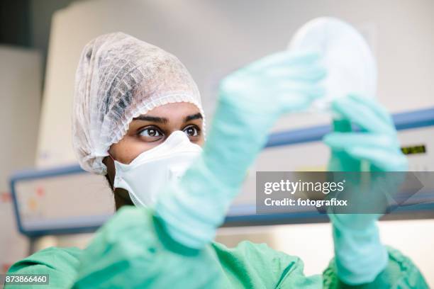 young female scientist watching at cell culture in petri dish in laboratory - hair net stock pictures, royalty-free photos & images