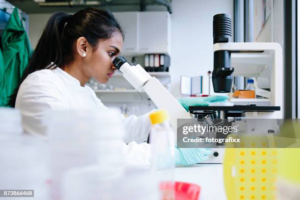 young female scientist watching through microscope in laboratory - amoeba imagens e fotografias de stock