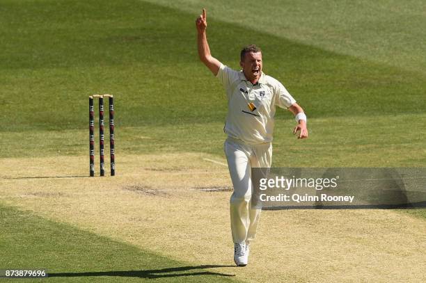 Peter Siddle of Victoria celebrates getting the wicket of Jake Doran of Tasmania during day two of the Sheffield Shield match between Victoria and...