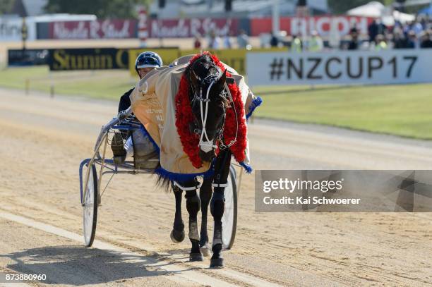 Mark Purdon drives Lazarus after winning Race10 Christchurch Casino NZ Trotting Cup during New Zealand Trotting Cup Day at Addington Raceway on...