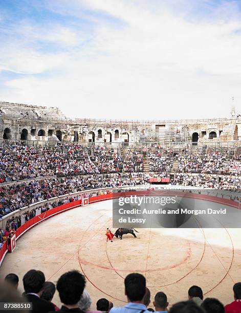 bull fight in arena - bullfighter stock pictures, royalty-free photos & images