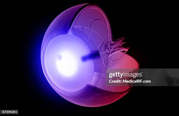 structure of the eye - vitreous humour stock illustrations