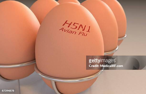 eggs branded with 'avian flu' - avian flu virus stock illustrations