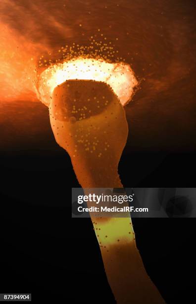 synapse - synapsenspalt stock-grafiken, -clipart, -cartoons und -symbole