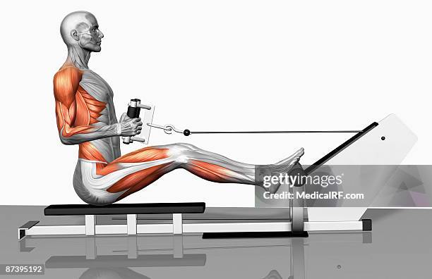 stockillustraties, clipart, cartoons en iconen met cable row exercise (part 1 of 2) - brede zijspier