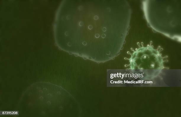 hiv - glycoprotein stock illustrations