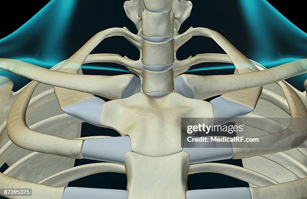 Cervical Rib Photos and Premium High Res Pictures - Getty Images