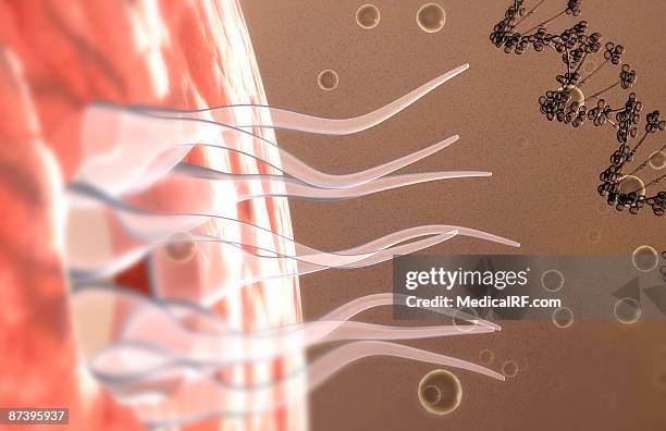 hiv viral dna - lentivirus stock illustrations