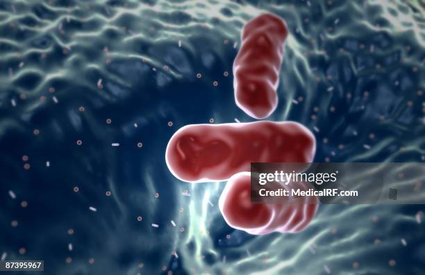 escherichia coli - e coli stock illustrations