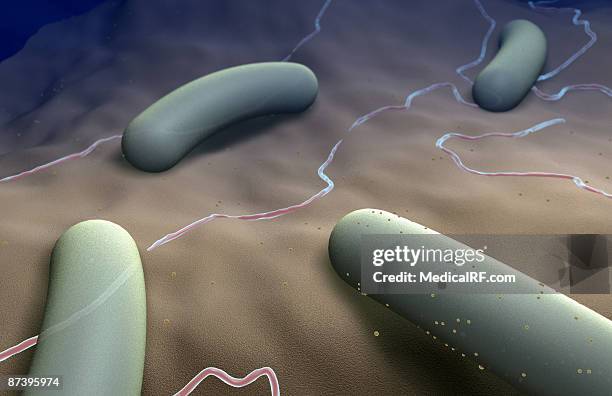 salmonella - intestinal tract infection 幅插畫檔、美工圖案、卡通及圖標