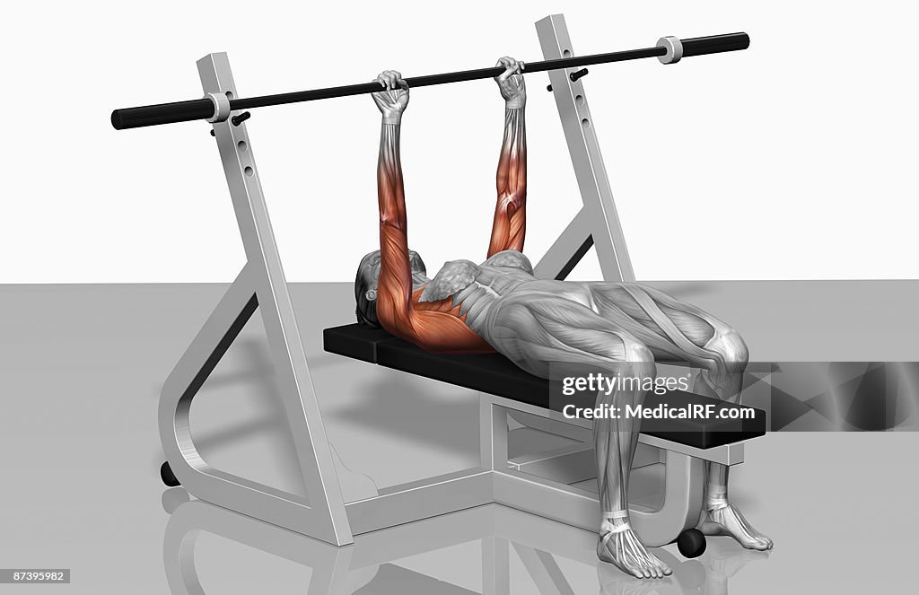 Bench press (Part 1 of 2)