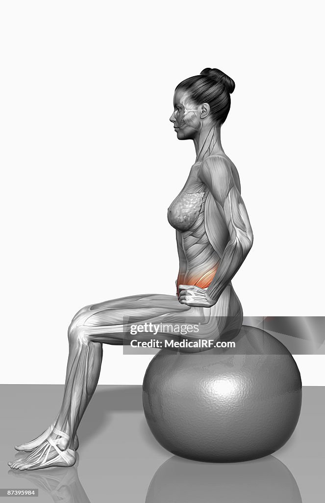 Transverse abdominalis exercise