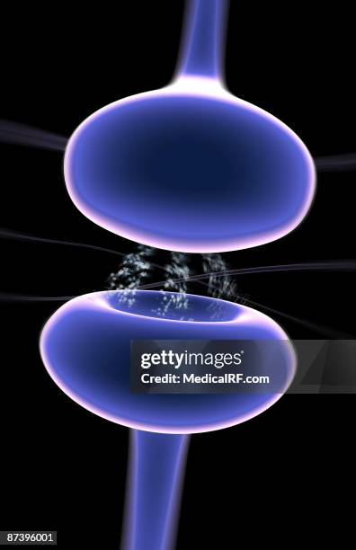 synapse - synapsenspalt stock-grafiken, -clipart, -cartoons und -symbole