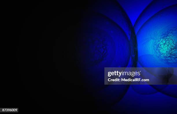 mitosis - telophase stock illustrations