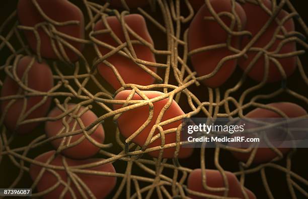 blood clot - fibrin stock illustrations