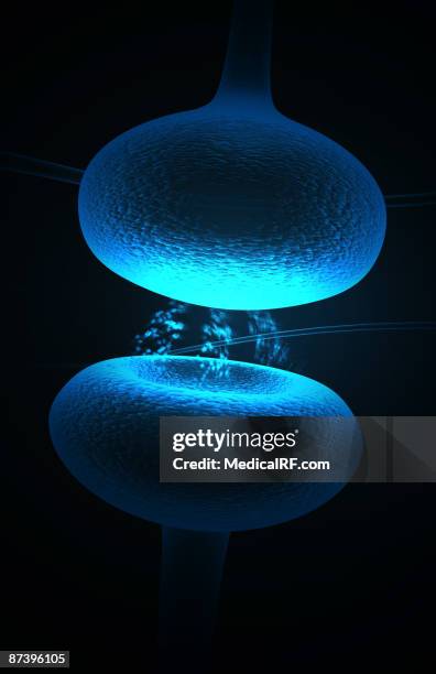 synapse - synapsenspalt stock-grafiken, -clipart, -cartoons und -symbole