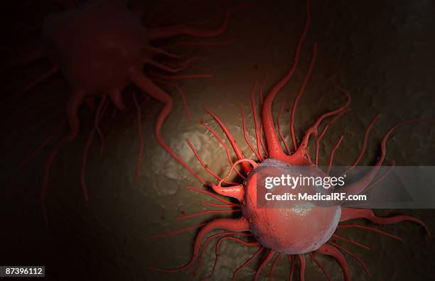 High Resolution Cancer Cancer Cells High-Res Vector Graphic - Getty Images