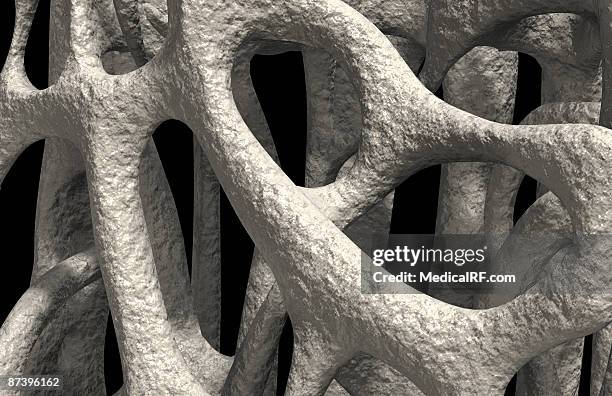 osteoporosis - canaliculi stock illustrations