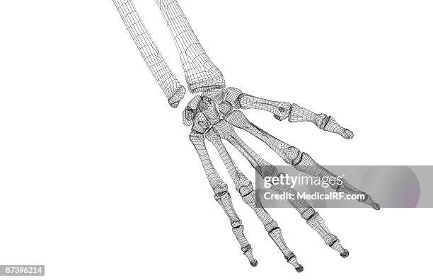 the bones of the hand - lunares stock illustrations