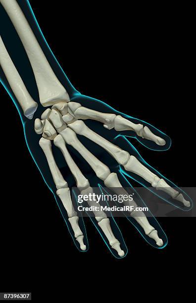 the bones of the hand - lunares stock illustrations