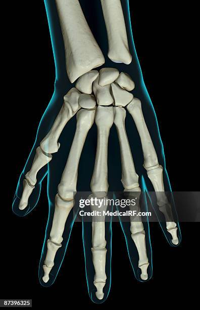 the bones of the hand - lunares stock illustrations