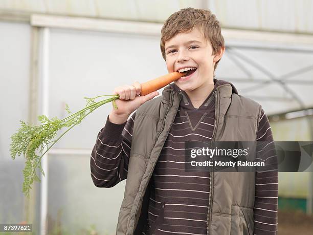 boy eating carrot - carrots growing stock pictures, royalty-free photos & images