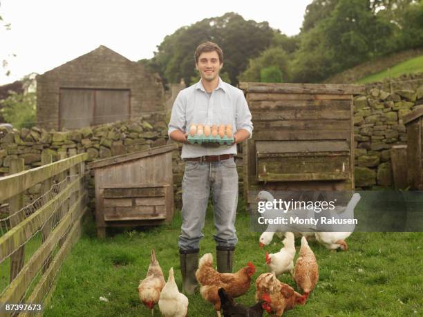 farmer with eggs, hens and geese - hens on poultry farm stock pictures, royalty-free photos & images