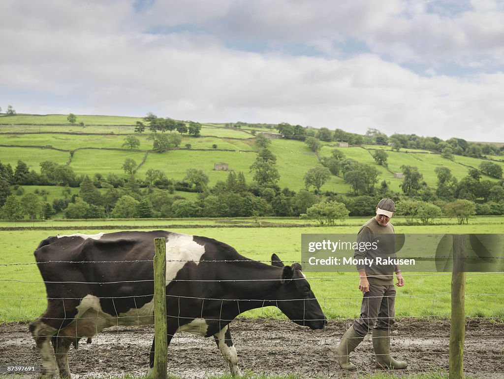 Farmer With Cow