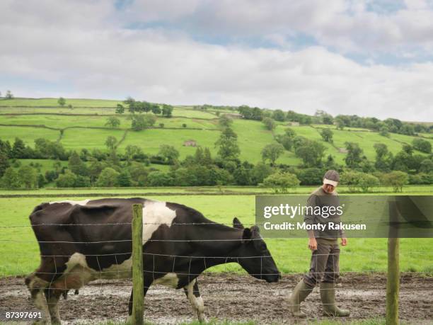 farmer with cow - farmer walking stock pictures, royalty-free photos & images