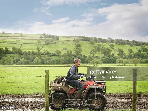 farmer and dog on tractor - quadbike stock pictures, royalty-free photos & images