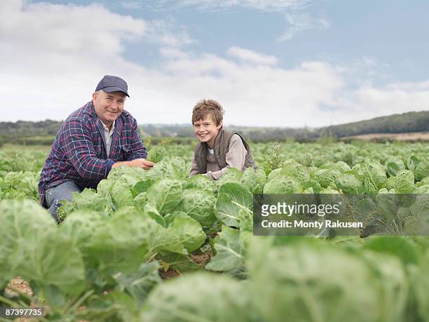 farmer and son in crop field - tadcaster stock-fotos und bilder