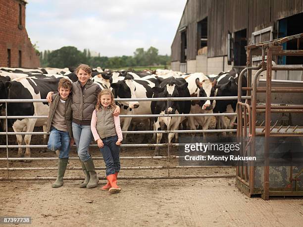 children with cows - tadcaster stock-fotos und bilder