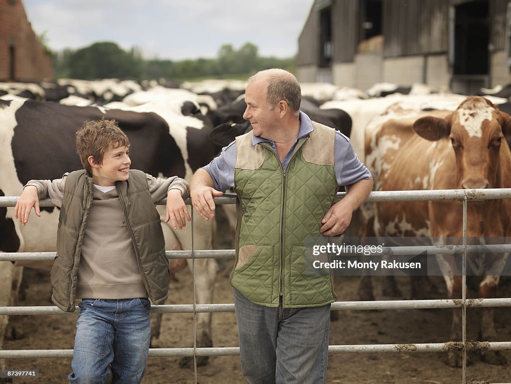 Farmer And Son With Cows