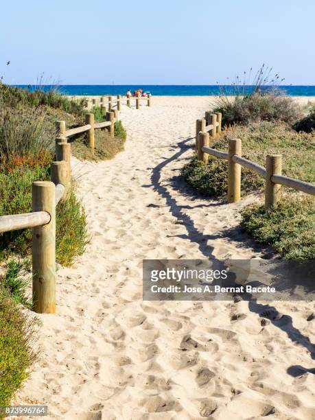 path of sand that he leads to the beach between dunes with flowers and grasses with posts of wood, a day of the sun and blue sky. cala de monsul, cabo de gata - nijar natural park,  almeria,  andalusia, spain - cabo de gata fotografías e imágenes de stock