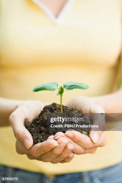 Hispanic Woman Holding Seedling, Foto de stock