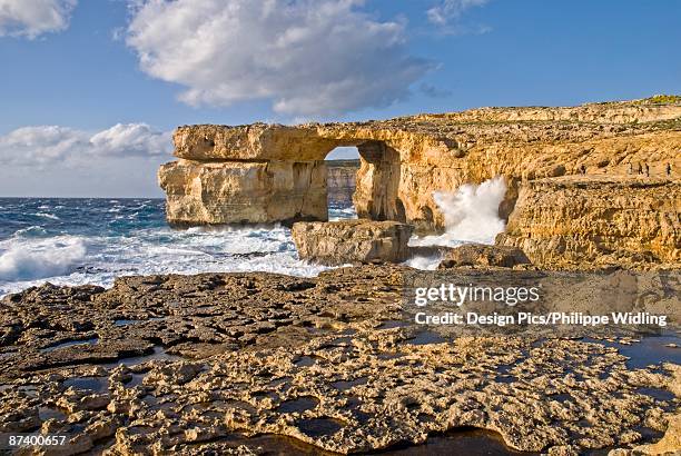 azure window, gozo, malta, europe - philippe malta stock pictures, royalty-free photos & images