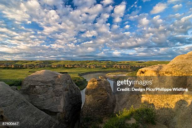 Two Rivers Alberta 85 Milk River Alberta Stock Photos, High-Res Pictures, and Images ...