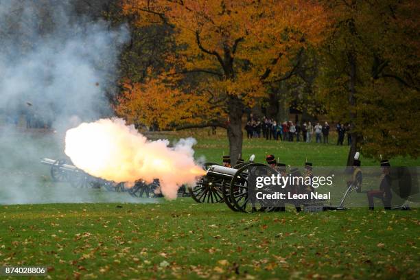 Members of the King's Troop Royal Horse Artillary take part in a 41-gun salute to mark the 69th birthday of the Prince of Wales at Green Park on...