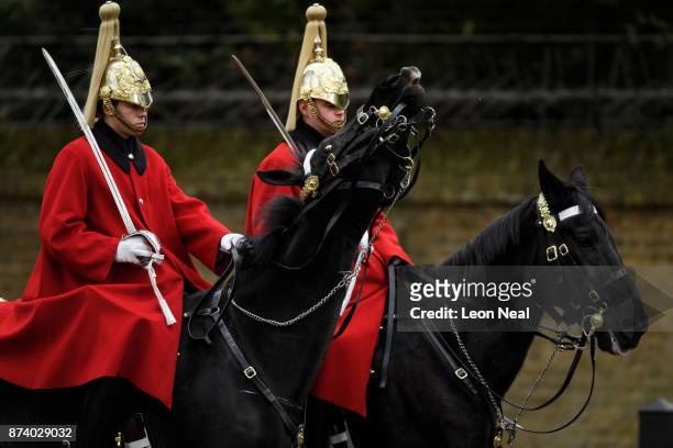 Household Cavalry horse rears it's head, before members of the King's Troop Royal Horse Artillary take part in a 41-gun salute to mark the 69th...